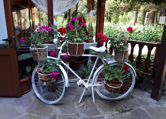 Хотел елпида